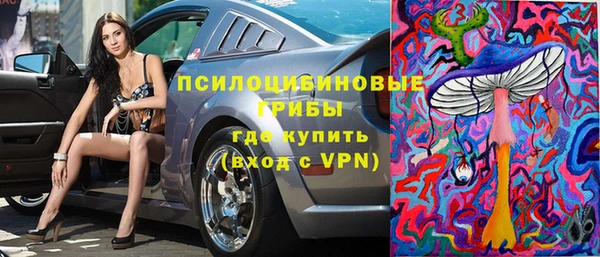 мдпв Бородино
