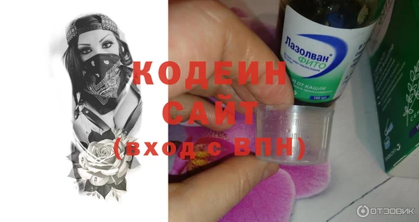 мдпв Бородино