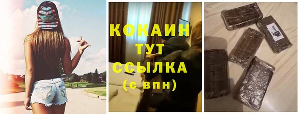 мдпв Бородино