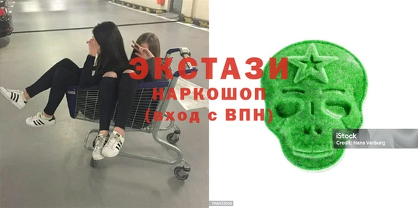 мдпв Бородино
