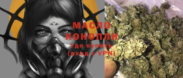 мдпв Бородино