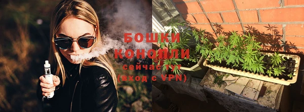 мдпв Бородино