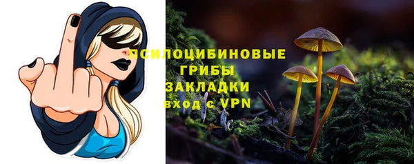 твердый Бронницы