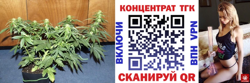 Дистиллят ТГК Wax  Шуя 